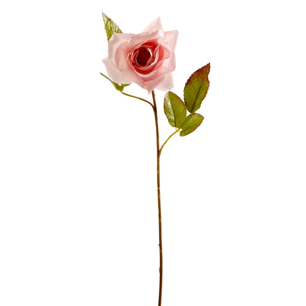 10017771_01.png img